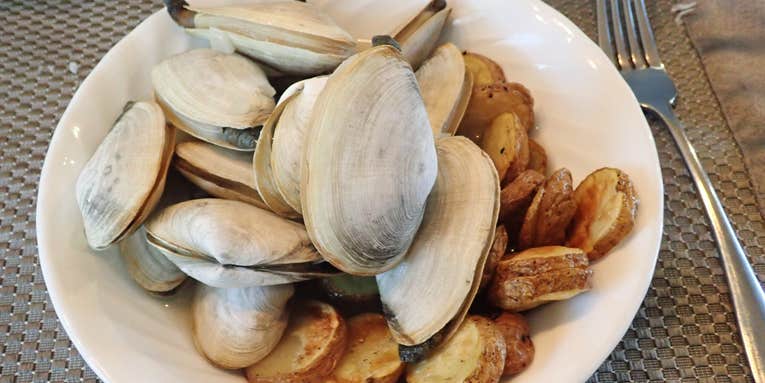 The Ultimate Guide to Digging for Clams
