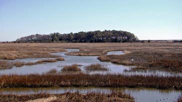 USFWS Looks to Open 2.1M Acres of National Wildlife Refuge Lands to Hunting and Fishing