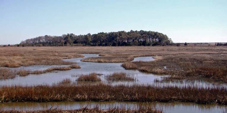 USFWS Looks to Open 2.1M Acres of National Wildlife Refuge Lands to Hunting and Fishing