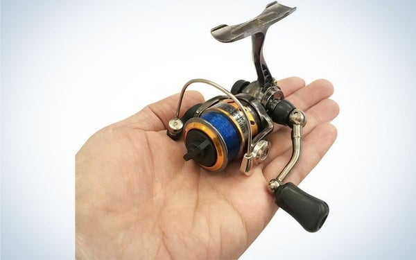 amazon prime day deals on small fishing reels