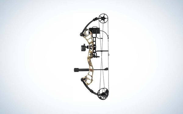 WHY Stinger Max composite bow