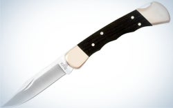 Buck Knives folding hunting knife