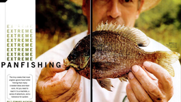 Flyfishing for panfish in the south.