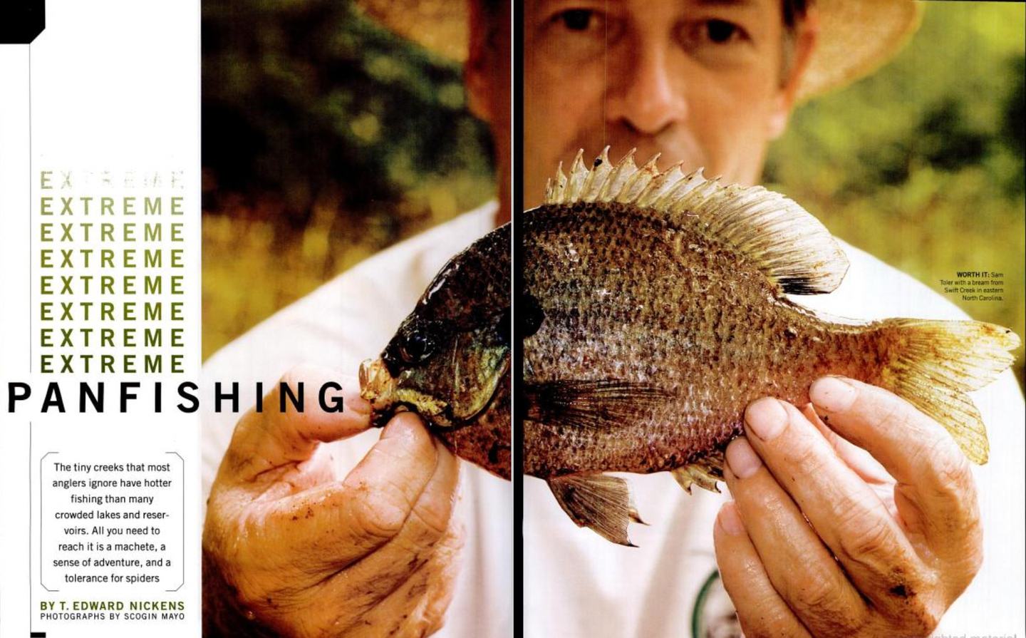Flyfishing for panfish in the south.
