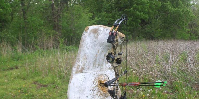 PSE Stinger Compound Bow: Tested and Reviewed