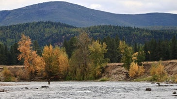 Home Waters: Fly Fishing on the Big Blackfoot River