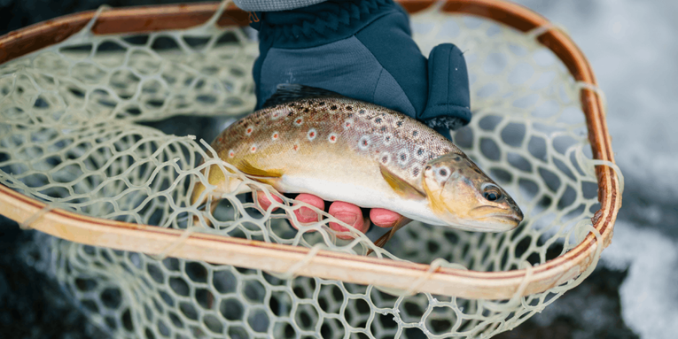 The 20 Best Trout Lures of 2024, According to Our Experts