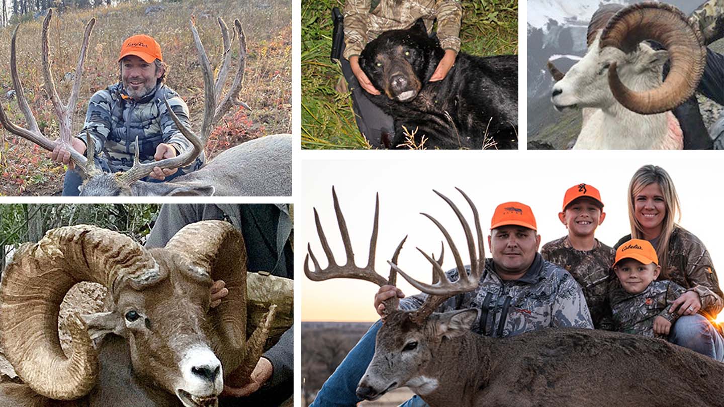 Boone and Crockett trophies.