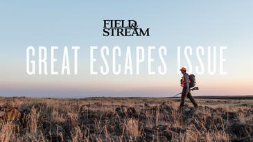 Introducing the New Digital Edition of Field & Stream