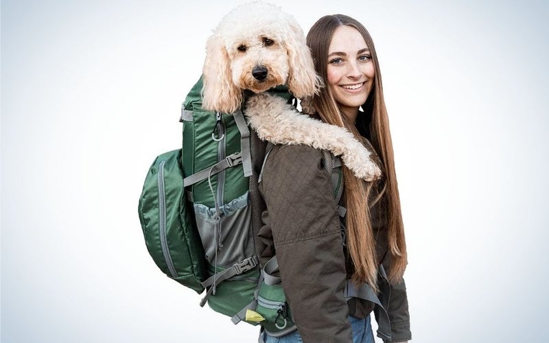 A girl who has behind her a big green backpack with a big pocket and a big white dog that she carries with her bag.