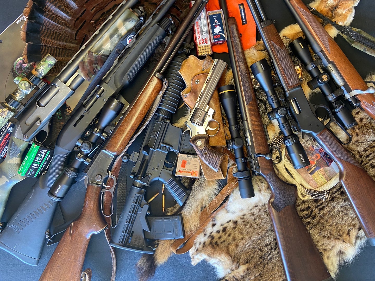 A collection of hunting guns
