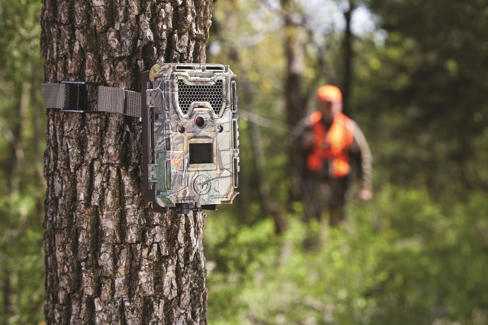 barn Girlfriend Ritual How to Mount a Trail Camera for Wildlife Photography | Field & Stream