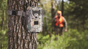 Best Trail Camera Deals at Amazon’s October Prime Day