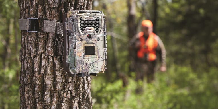 How to Set Up a Trail Camera