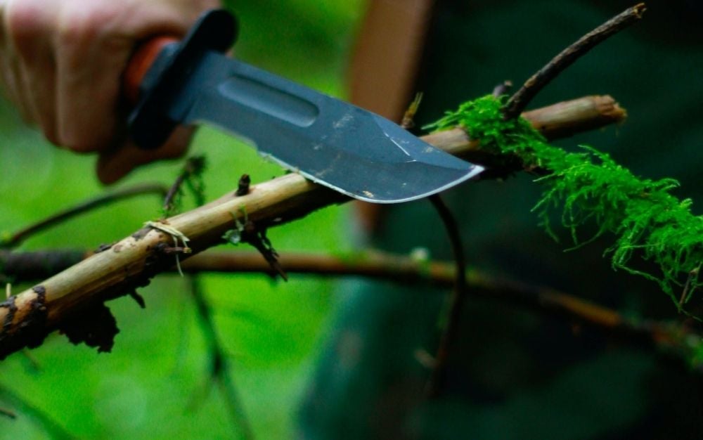 A person holding a survival knife and who is cutting a tree in a green area.