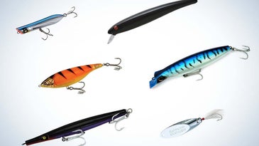 The 25 Best Striped Bass Lures for Surf Fishing