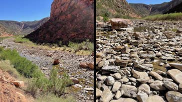 “They’re Gonna Die”: Drought Dooms Trout in Colorado’s Dolores River—and Probably Beyond