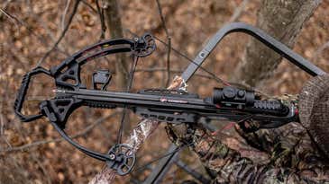 The 5 Fastest Crossbows of 2024