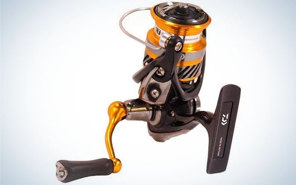 A spincast reel with a gold and round head and black body with a black lever underneath and on the other side you are another gold lever slightly longer than the black one.
