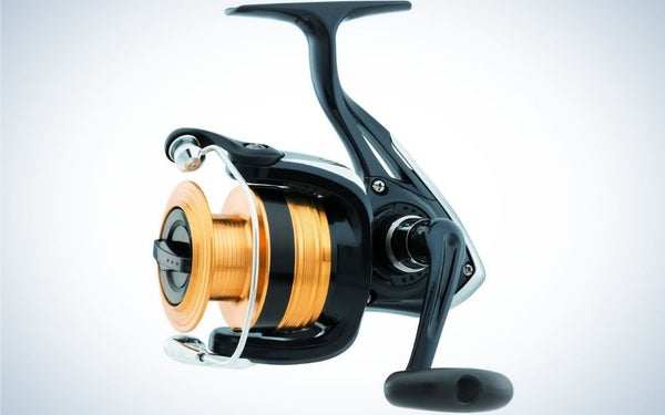 A spincast reel at the beginning of its body is gold-colored with narrow circles compared to the whole machine and in its tail a propeller from above and one side is black.