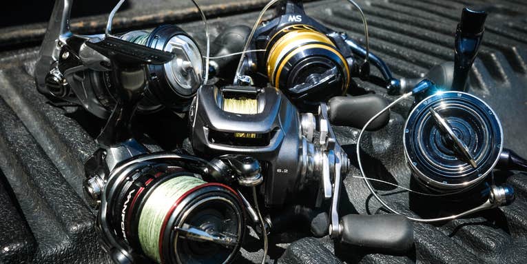 The Best Shimano Reels of 2024, Tested and Reviewed