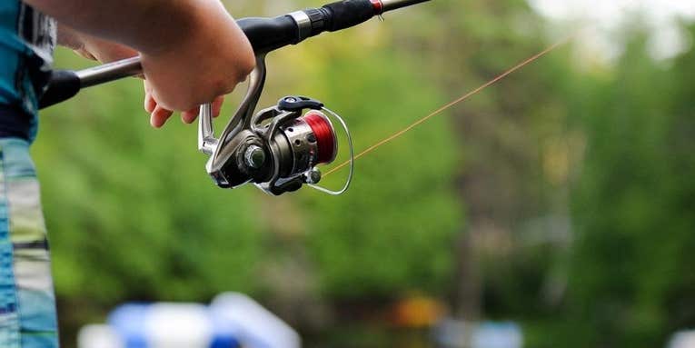 The Best Spinning Reels for Bass (2024 Review)