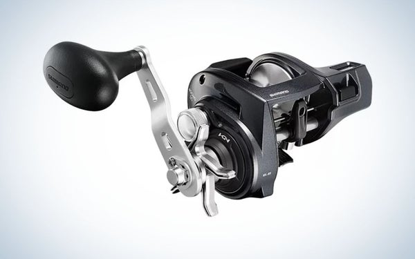 Shimano Tekotas are the best spinning reels for trolling.