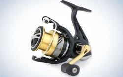 Shimano Nasci reels are the best shimano reels