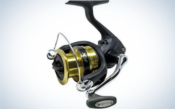 The Shimano FX are the best Shimano reels on a budget