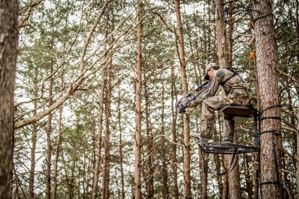 Crossbow hunter in treestand