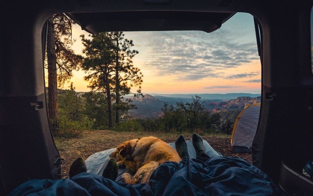 People and dog resting on the mattress with a beautiful camping view