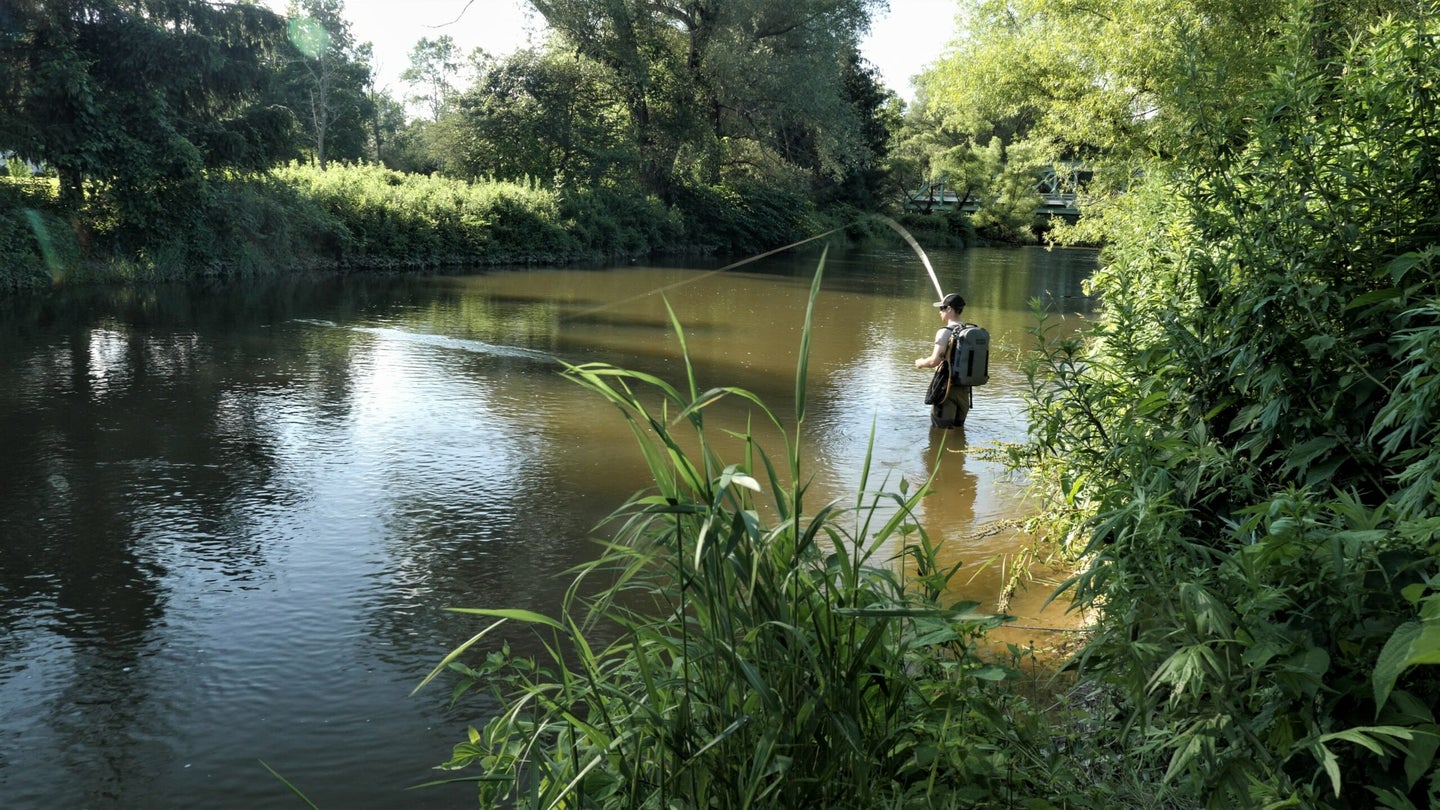 A fly fisherman casts for trout in the summer