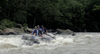 Rafting on the New River