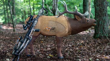 Crossbow Review: CenterPoint CP400