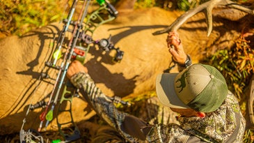 Best Bow Stabilizers of 2023