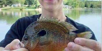 Missouri Kid Breaks His Dad’s Sunfish Record
