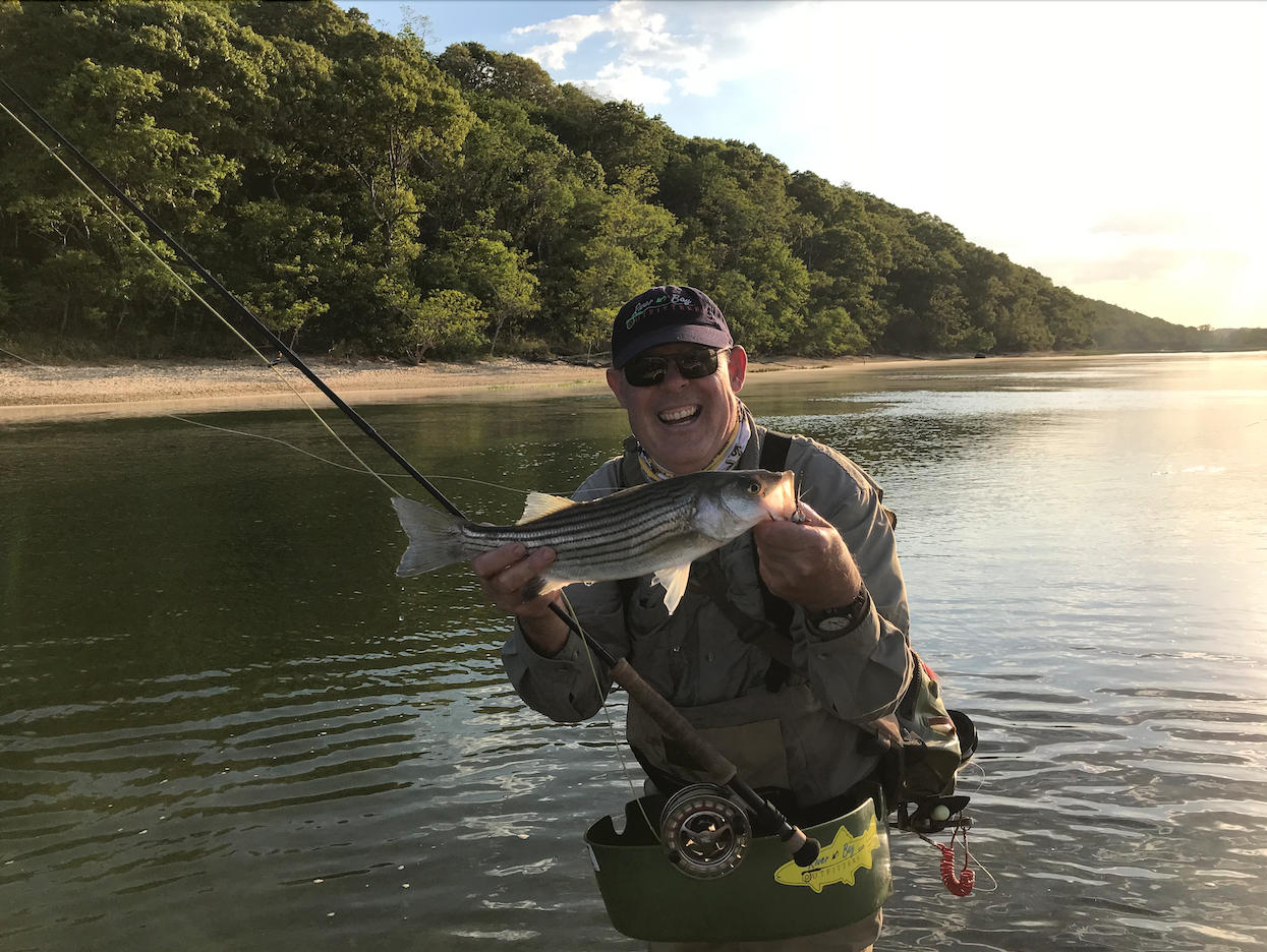 wading angler with striped bass