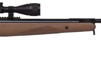 The Benjamin Trail NP XL Air Rifle is a best bb gun for pest control