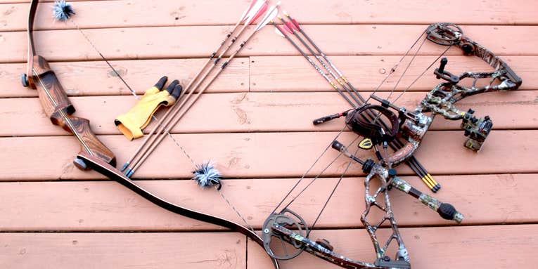 Recurve vs Compound Bow: How to Choose the Best Type of Bow for You