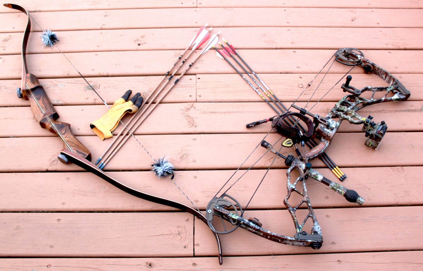The bowhunter's decision: recurve vs compound bow