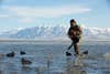 Hunting ducks on Great Salt Lake