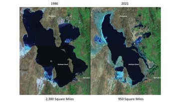 Western Waterfowl Habitat Dries Up As Great Salt Lake Hits Lowest Levels Ever