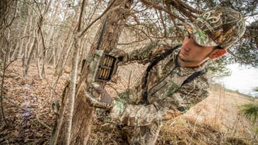 Opinion: Your Preseason Deer Scouting Efforts Don’t Help You. They Help Me