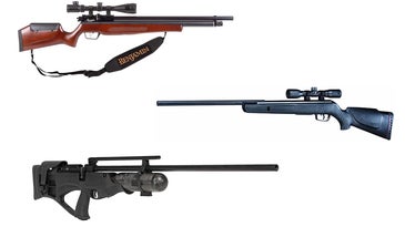 The Best Air Rifles for 2022