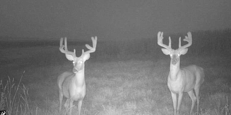 Got a Huge Buck on Camera? Here’s How to Not Screw it Up On Opening Day
