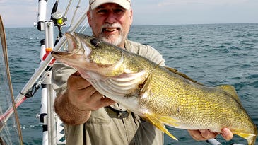 Lake Erie Algae Bloom Intensifies But Anglers are Optimistic