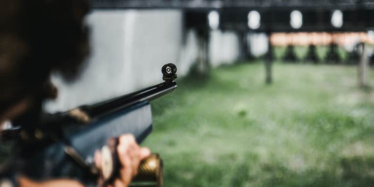 Can Anyone Buy a BB Gun? Navigating the Legalities