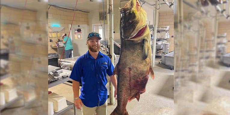 Missouri Bowfisherman Shoots Potential World Record Bighead Carp