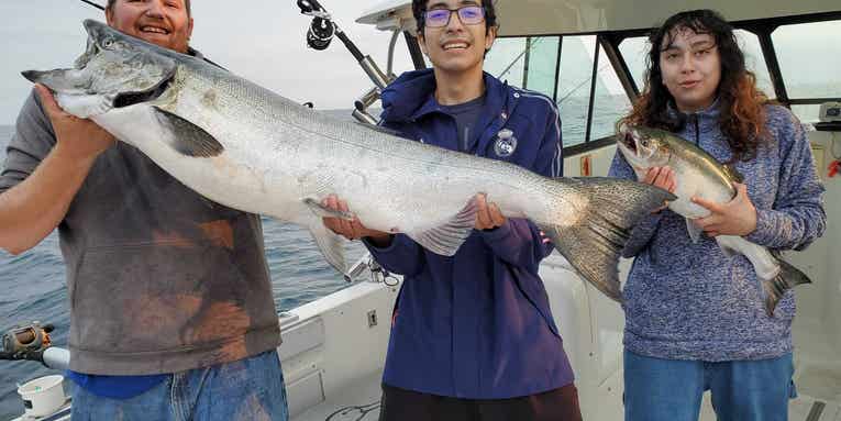 Teen’s First Salmon Ever Is Michigan’s New State Record Chinook, at 47.86 Pounds