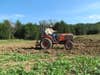 Man on a tractor in a food plot.